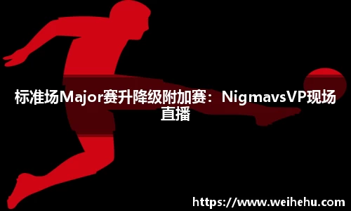 标准场Major赛升降级附加赛：NigmavsVP现场直播